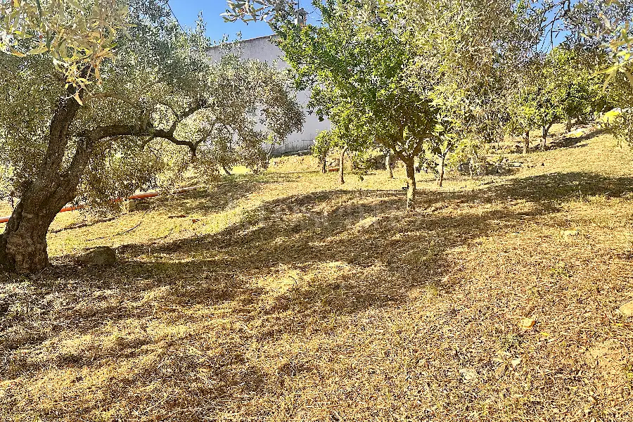 Edificabile Residenziali in vendita di 1.334 mq a €100.000 (rif. 6/2025)