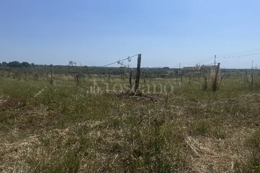 Agricolo in vendita di 60.000 mq a €170.000 (rif. 25/2026)