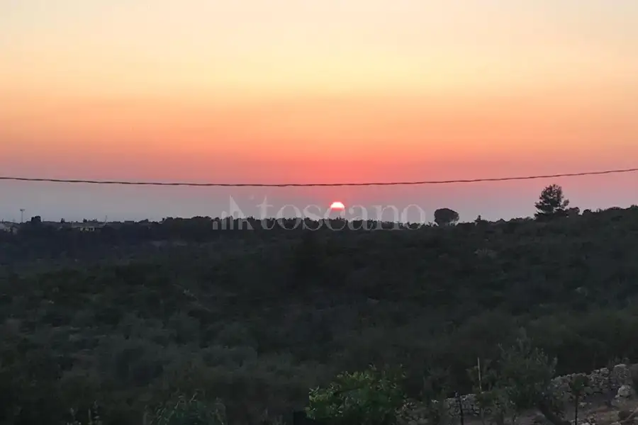 Agricolo in vendita di 2.046 mq a €25.000 (rif. 165/2026)