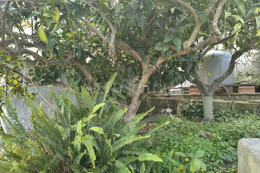 Casa Indipendente in vendita di 80 mq a €42.000 (rif. 67/2025)