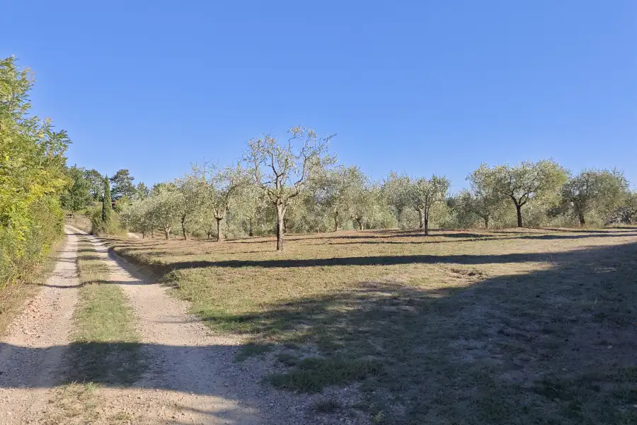 Agricolo in vendita di 20.000 mq a €80.000 (rif. 24/2026)