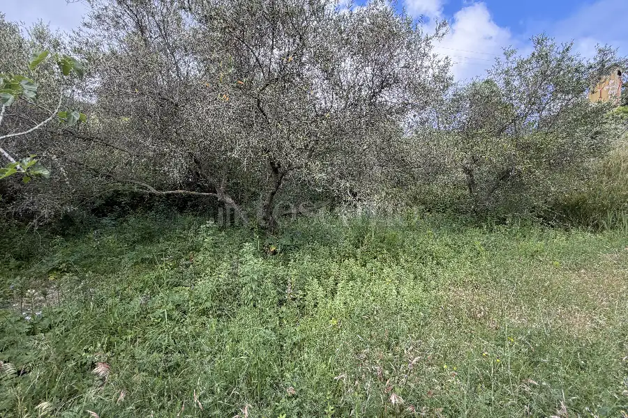 Agricolo in vendita di 16.504 mq a €88.000 (rif. 20/2026)