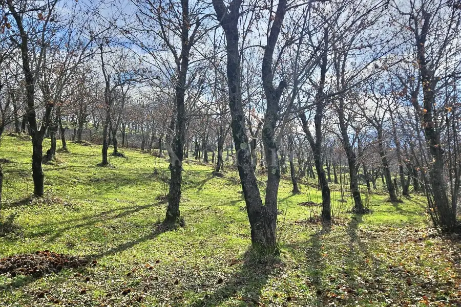 Agricolo in vendita di 4.600 mq a €18.000 (rif. 26/2026)