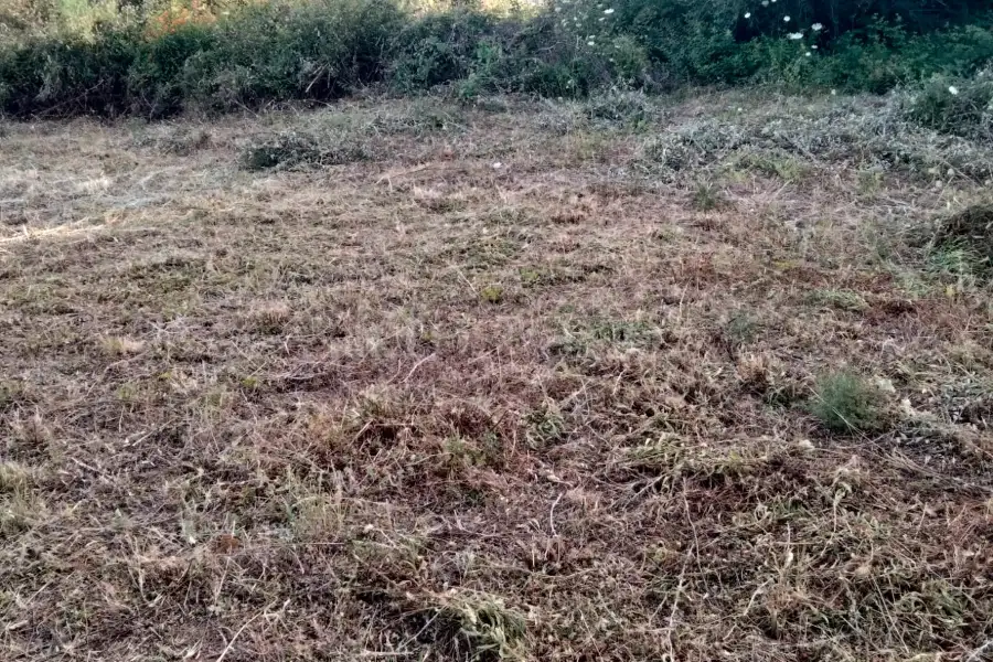Agricolo in vendita di 820 mq a €18.000 (rif. 31/2026)