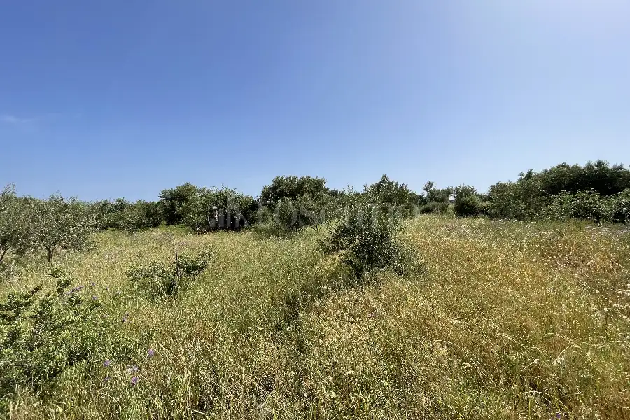 Agricolo in vendita di 3.300 mq a €28.000 (rif. 10/2025)