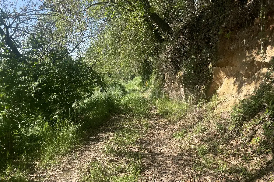 Agricolo in vendita di 3.360 mq a €12.000 (rif. 22/2026)