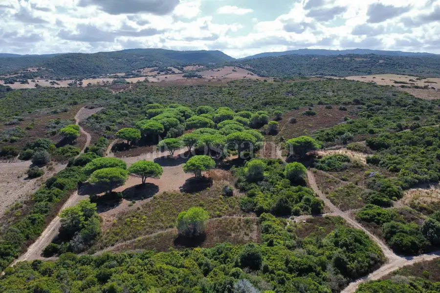 Casale in vendita di 150 mq a €1.750.000 (rif. 7/2026)