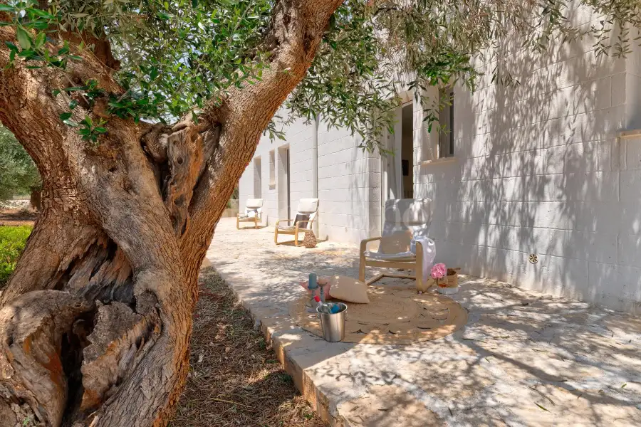 Villa in vendita di 239 mq a €795.000 (rif. 7/2025)