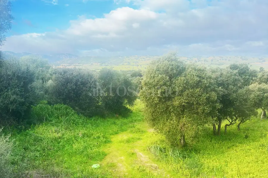 Edificabile Residenziali in vendita di 800 mq a €100.000 (rif. 2/2026)