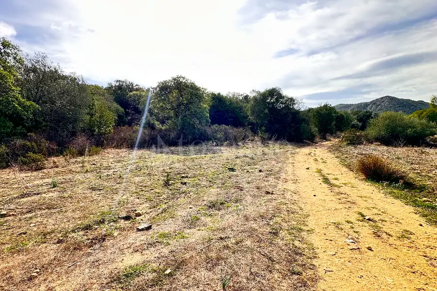 Agricolo in vendita di 375.217 mq a €480.000 (rif. 55/2024)