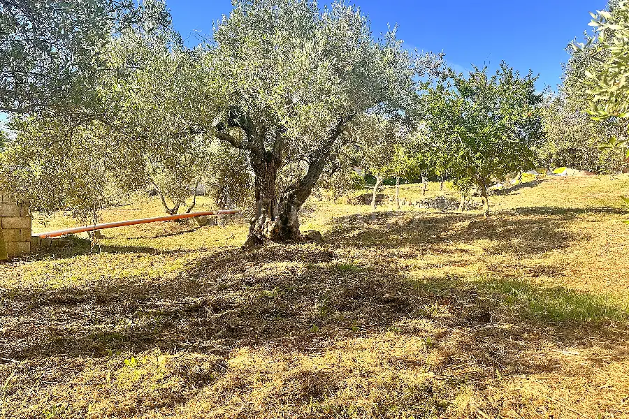 Edificabile Residenziali in vendita di 1.334 mq a €100.000 (rif. 6/2025)