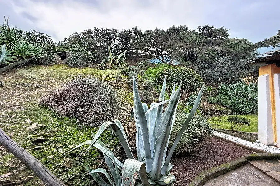Villa Bifamiliare in vendita di 100 mq a €250.000 (rif. 15/2026)