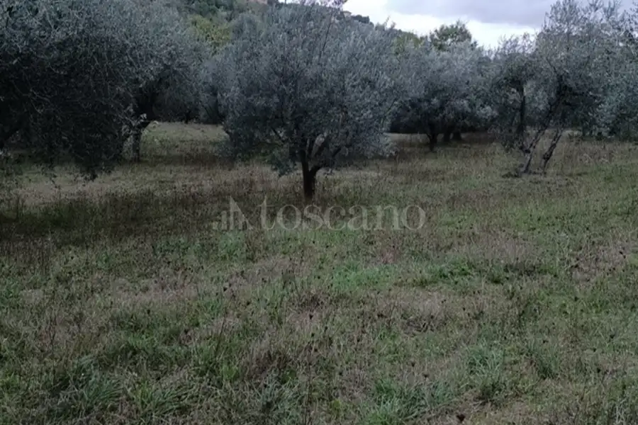 Agricolo in vendita di 15.000 mq a €30.000 (rif. 18/2025)