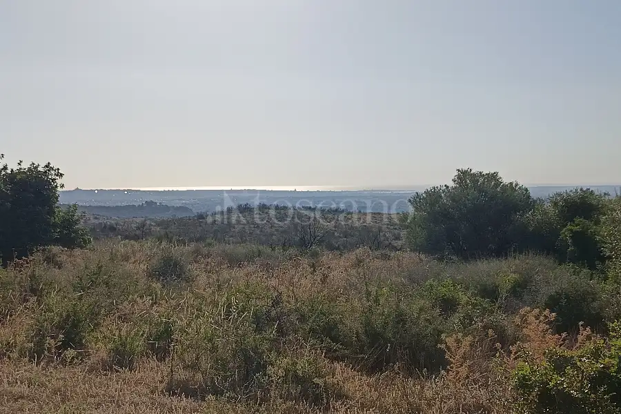 Agricolo in vendita di 130.000 mq a €149.000 (rif. 95/2025)