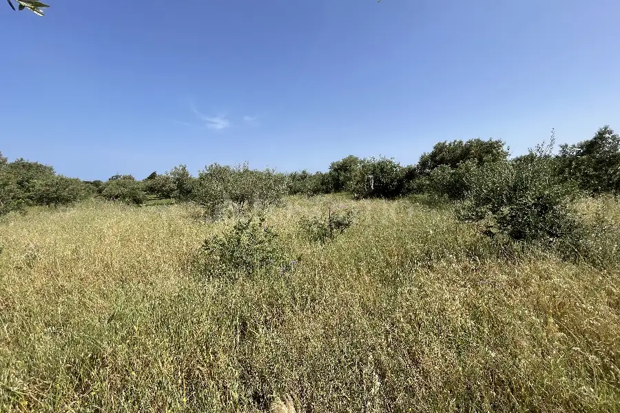 Agricolo in vendita di 3.300 mq a €29.000 (rif. 10/2025)