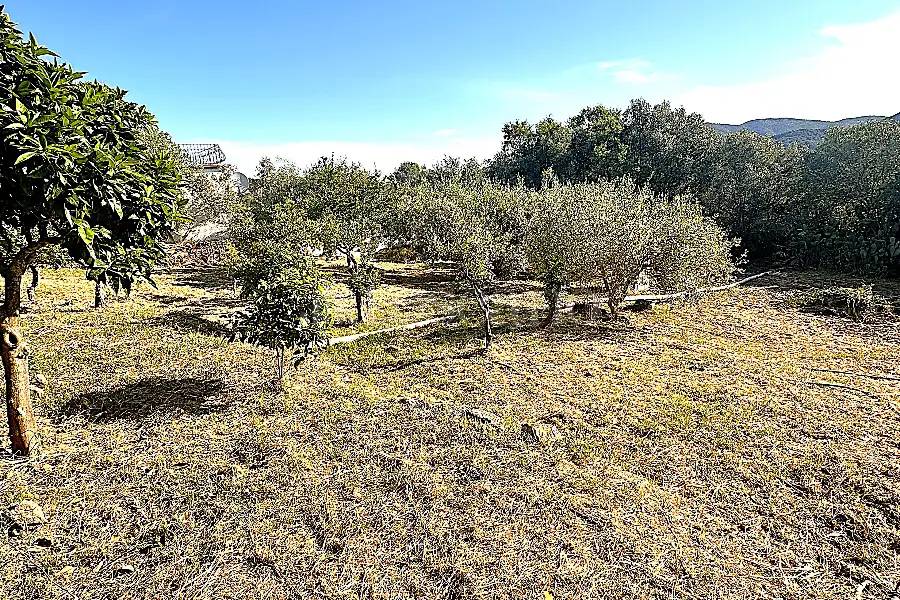 Edificabile Residenziali in vendita di 1.334 mq a €100.000 (rif. 6/2025)