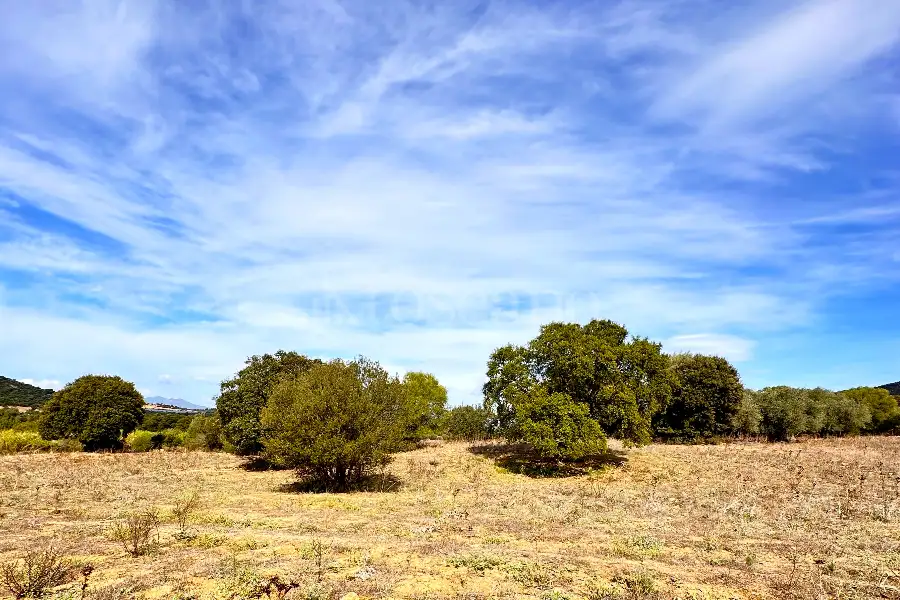 Agricolo in vendita di 375.217 mq a €480.000 (rif. 55/2024)