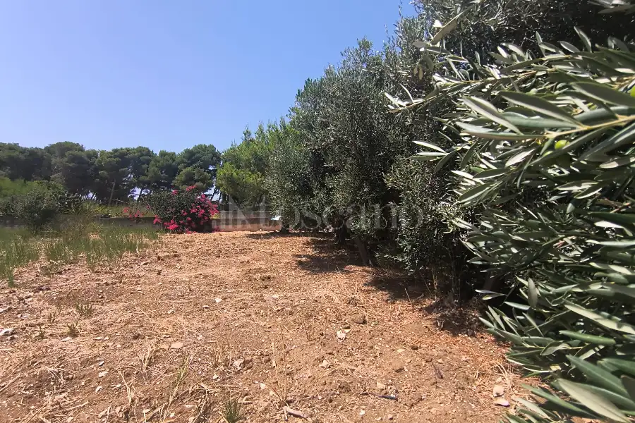Edificabile Residenziali in vendita di 650 mq a €28.000 (rif. 45/2026)