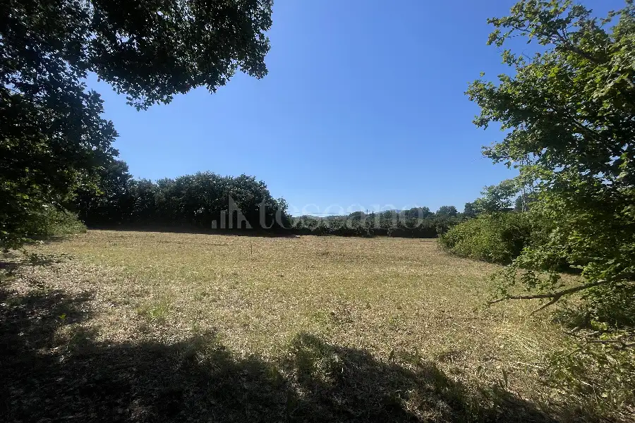 Edificabile Residenziali in vendita di 9.070 mq a €270.000 (rif. 29/2026)