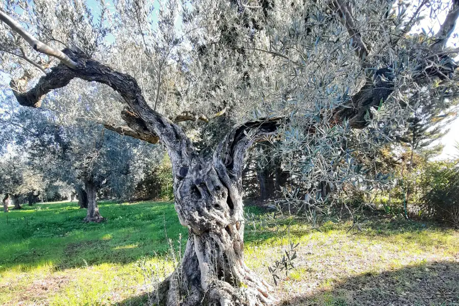 Villa in vendita di 480 mq a €880.000 (rif. 4/2026)