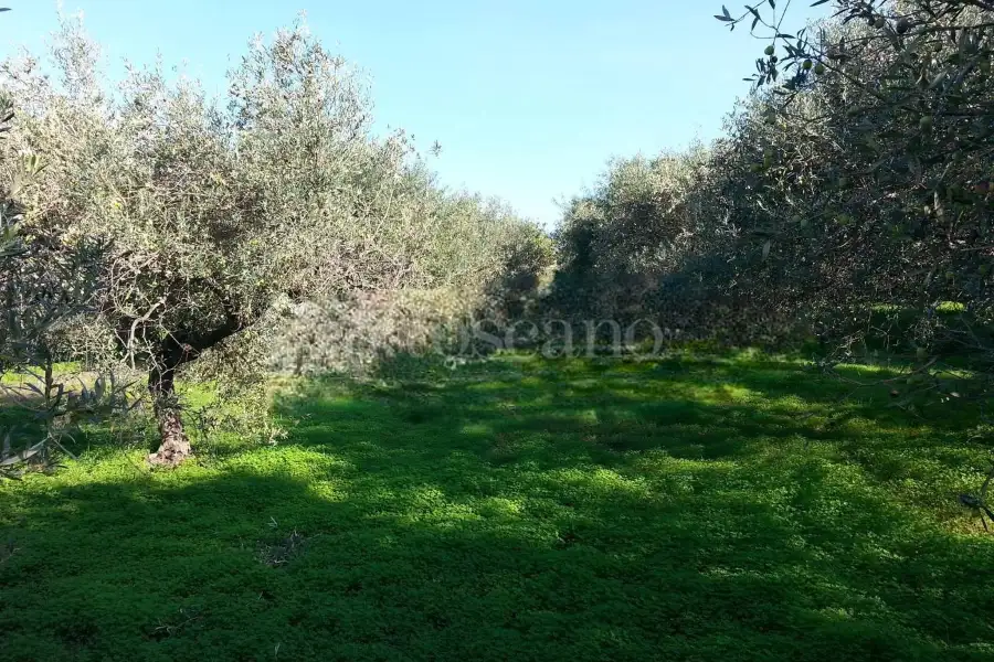 Rustico in vendita di 178 mq a €70.000 (rif. 14/2026)