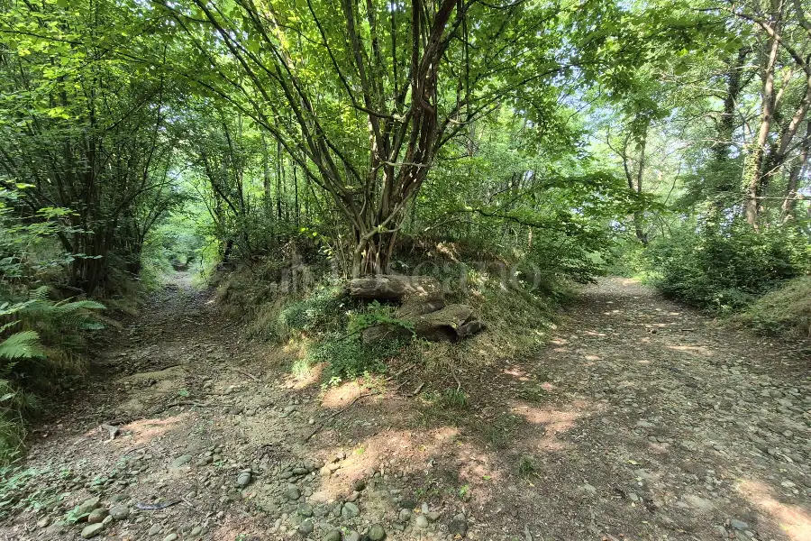 Rustico in vendita di 160 mq a €125.000 (rif. 24/2025)