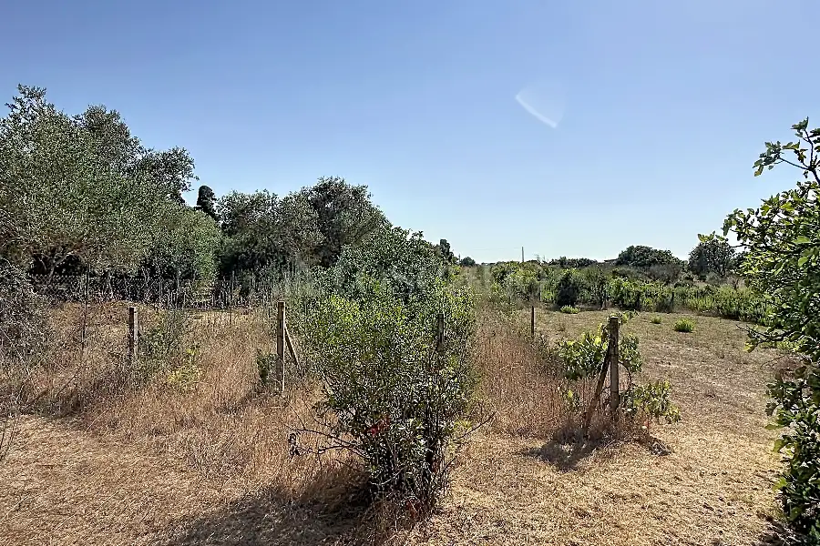 Casa Indipendente in vendita di 60 mq a €128.000 (rif. 175/2026)