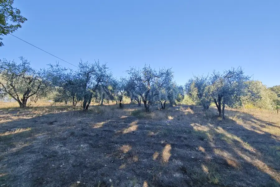 Agricolo in vendita di 2.800 mq a €21.000 (rif. 23/2026)
