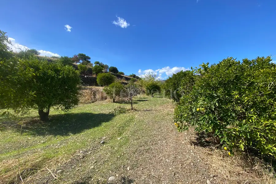 Agricolo in vendita di 3.320 mq a €40.000 (rif. 15/2026)