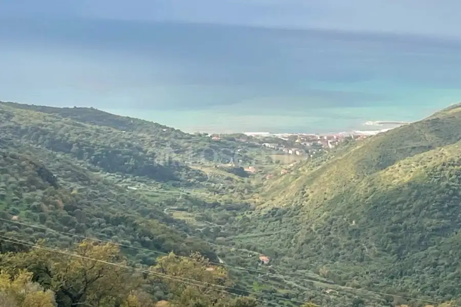 Agricolo in vendita di 7.000 mq a €125.000 (rif. 12/2025)