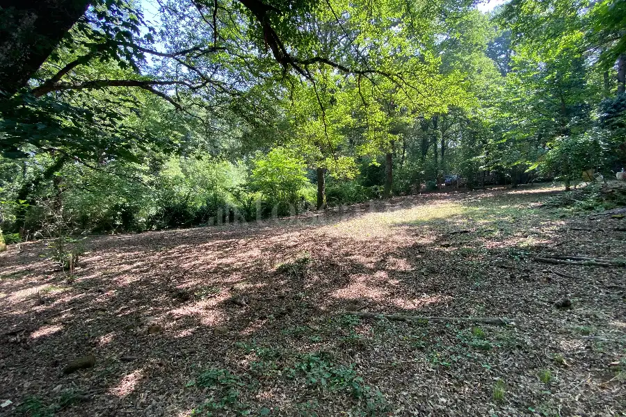 Agricolo in vendita di 5.000 mq a €19.000 (rif. 36/2025)