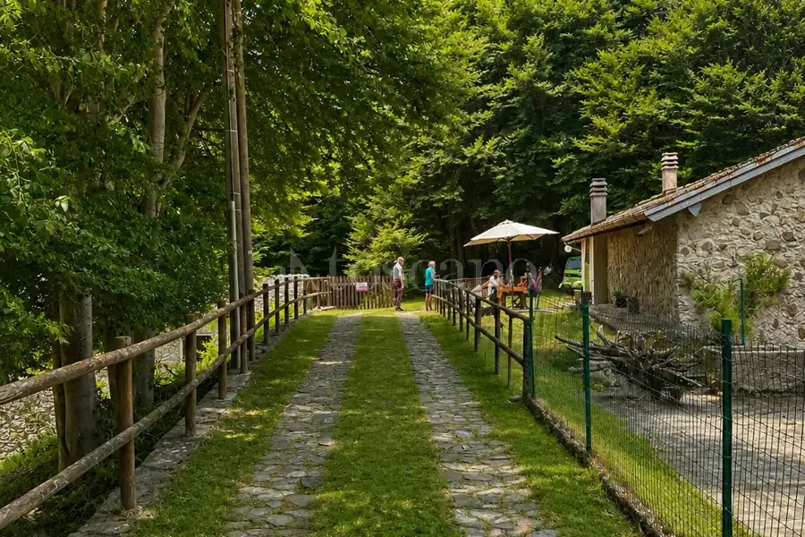 Rustico in vendita di 85 mq a €180.000 (rif. 180/2026)