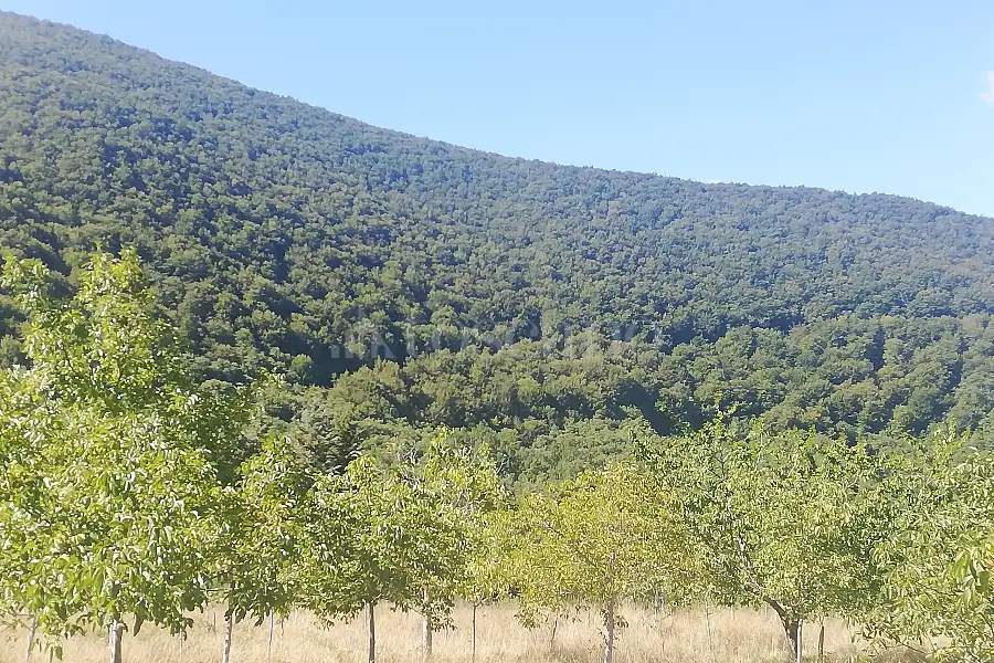 Casa Indipendente in vendita di 520 mq a €100.000 (rif. 20/2022)