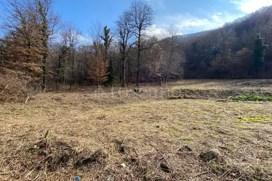 Edificabile Residenziali in vendita di 2.500 mq a €80.000 (rif. 115/2026)