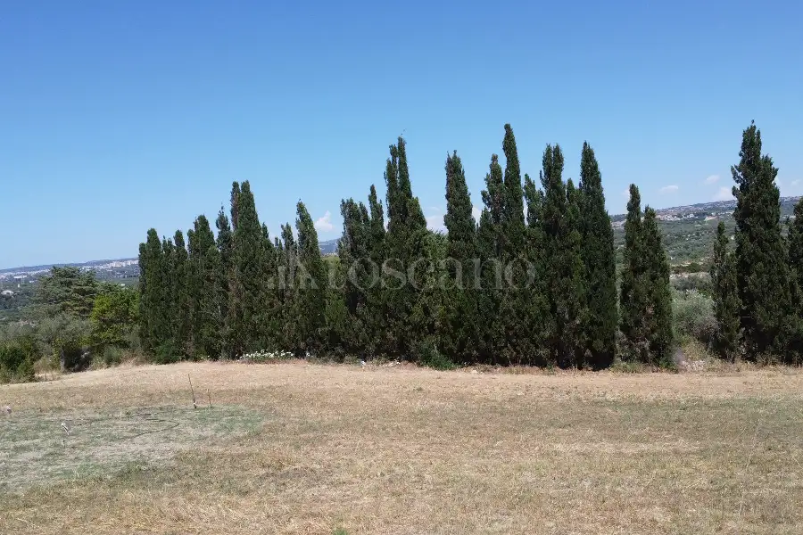 Edificabile Industriale in vendita di 9.000 mq a €50.000 (rif. 142/2026)