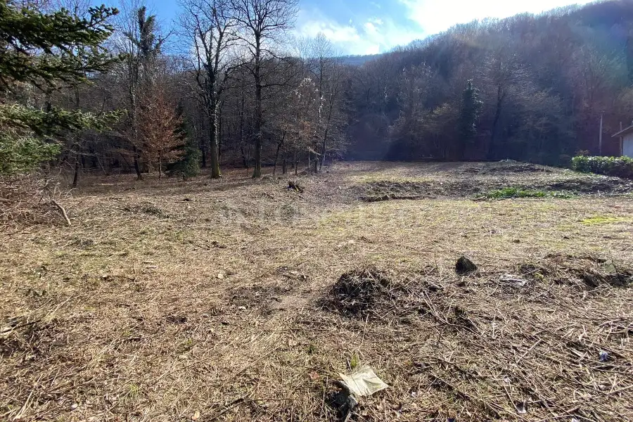 Edificabile Residenziali in vendita di 2.500 mq a €80.000 (rif. 115/2026)