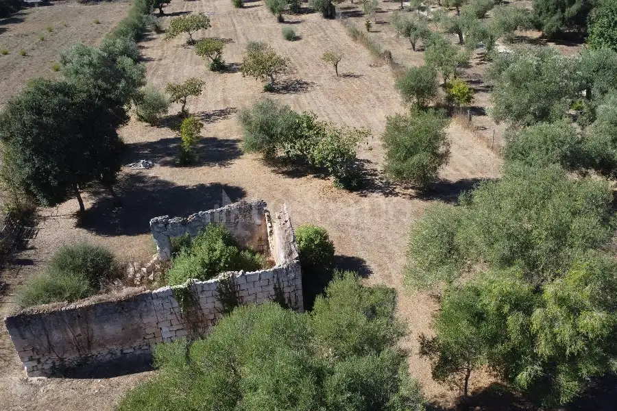 Edificabile Residenziali in vendita di 7.000 mq a €85.000 (rif. 206/2026)