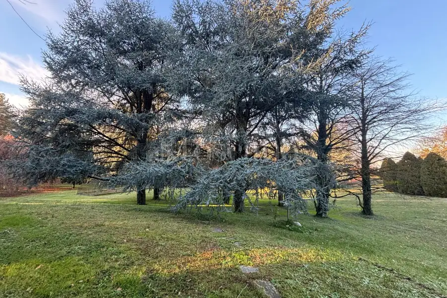 Villa Plurifamiliare in vendita di 370 mq a €1.200.000 (rif. 43/2025)