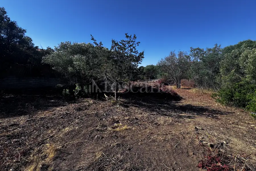 Edificabile Residenziali in vendita di 1.487 mq a €280.000 (rif. 46/2025)