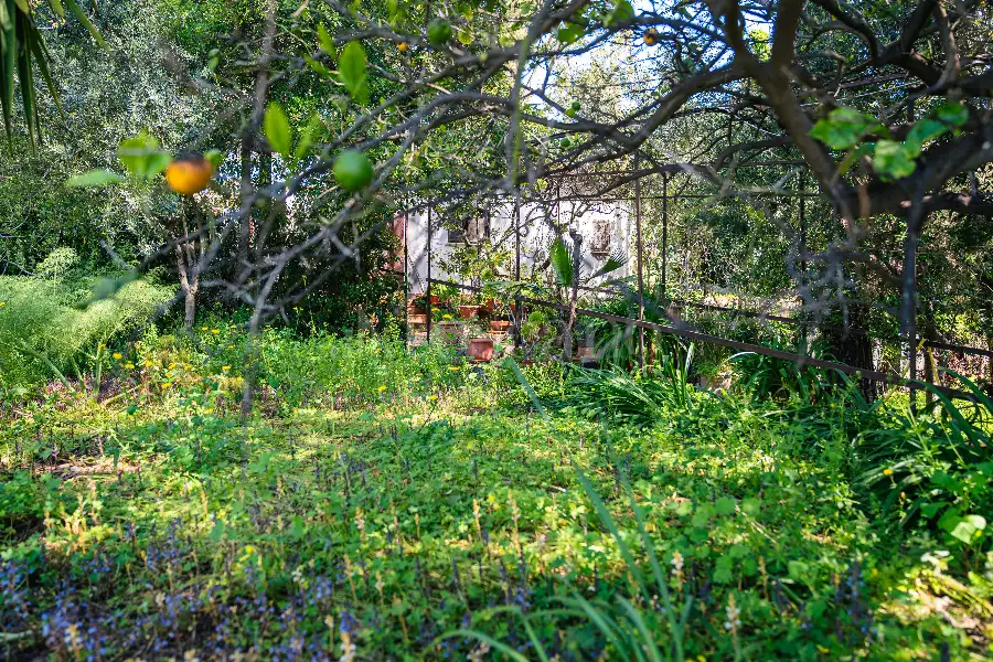 Villa in vendita di 250 mq a €298.000 (rif. 60/2025)
