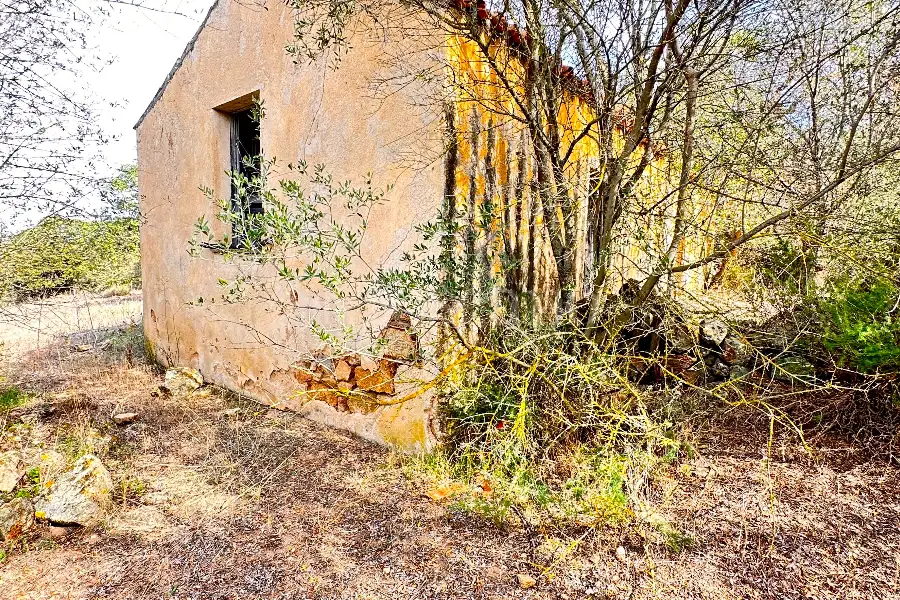 Agricolo in vendita di 375.217 mq a €480.000 (rif. 55/2024)