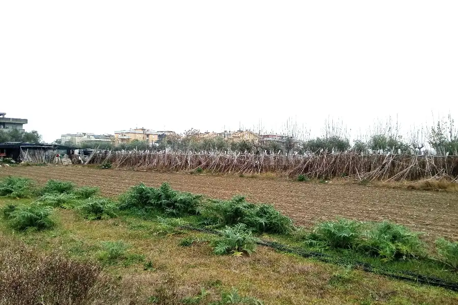 Agricolo in vendita di 2.400 mq a €55.000 (rif. 64/2025)