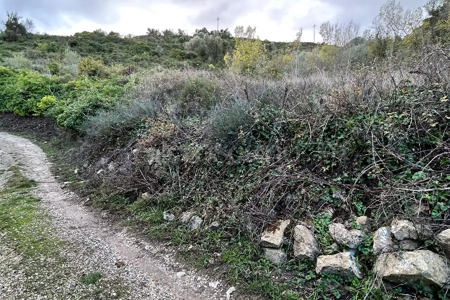 Agricolo in vendita di 4.300 mq a €10.000 (rif. 213/2025)