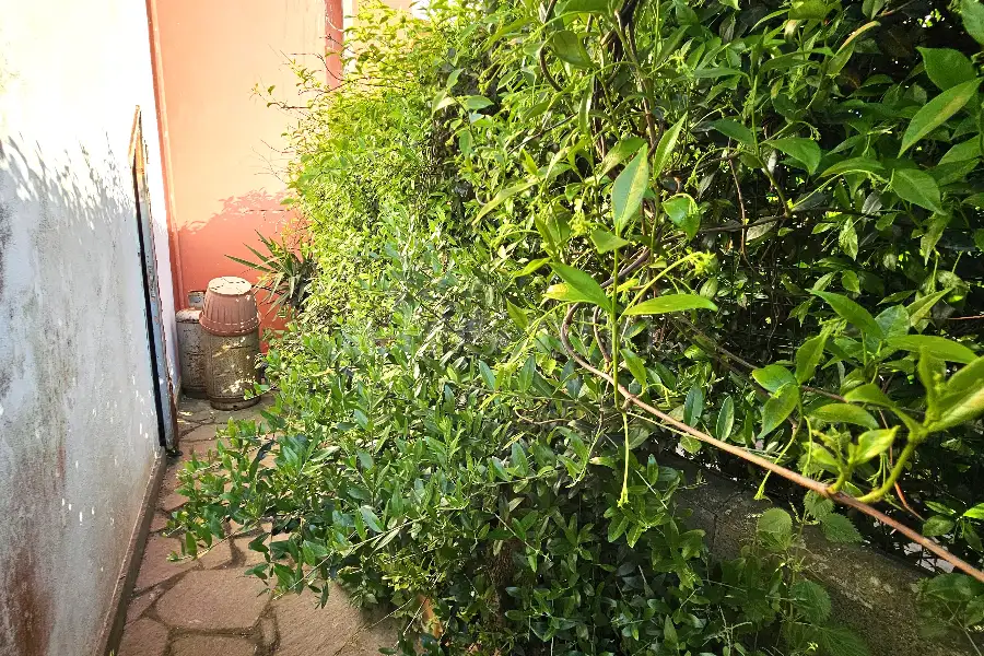 Casa in vendita di 50 mq a €65.000 (rif. 28/2025)