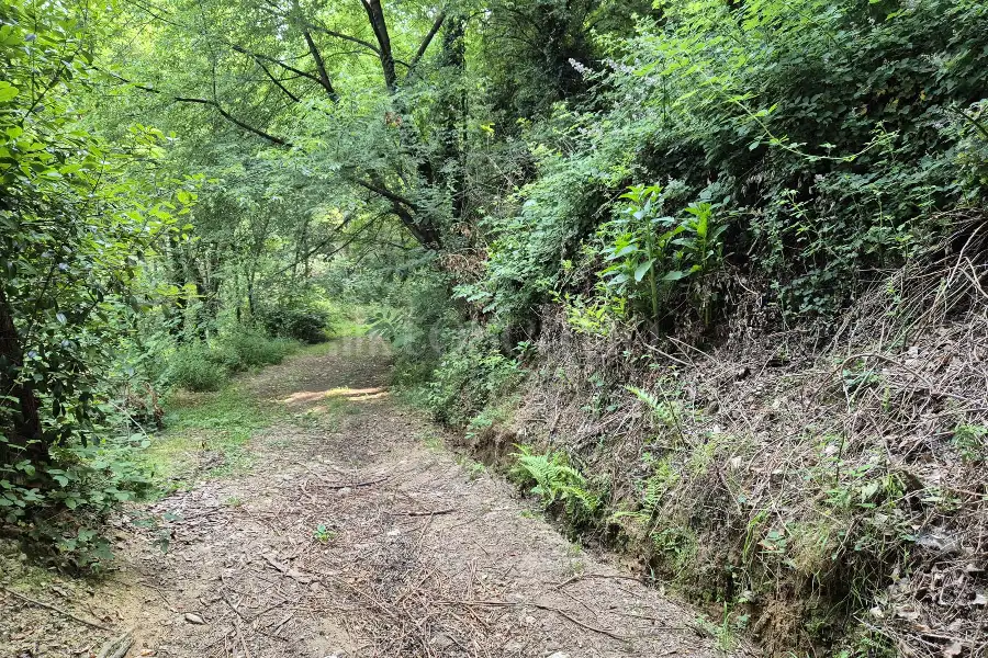 Rustico in vendita di 160 mq a €125.000 (rif. 24/2025)
