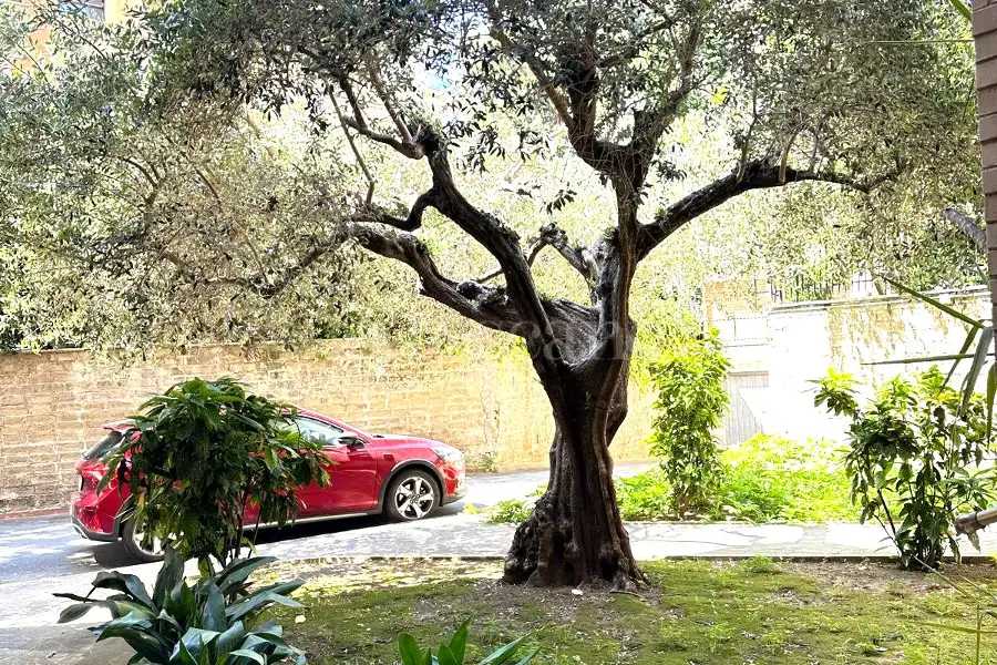 Casa in vendita di 74 mq a €415.000 (rif. 15/2026)