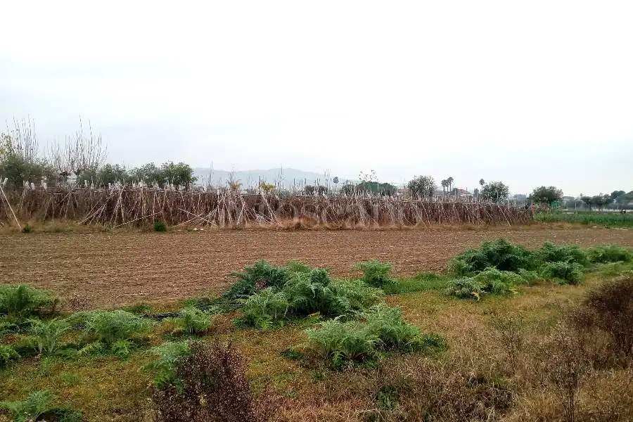 Agricolo in vendita di 2.400 mq a €55.000 (rif. 64/2025)