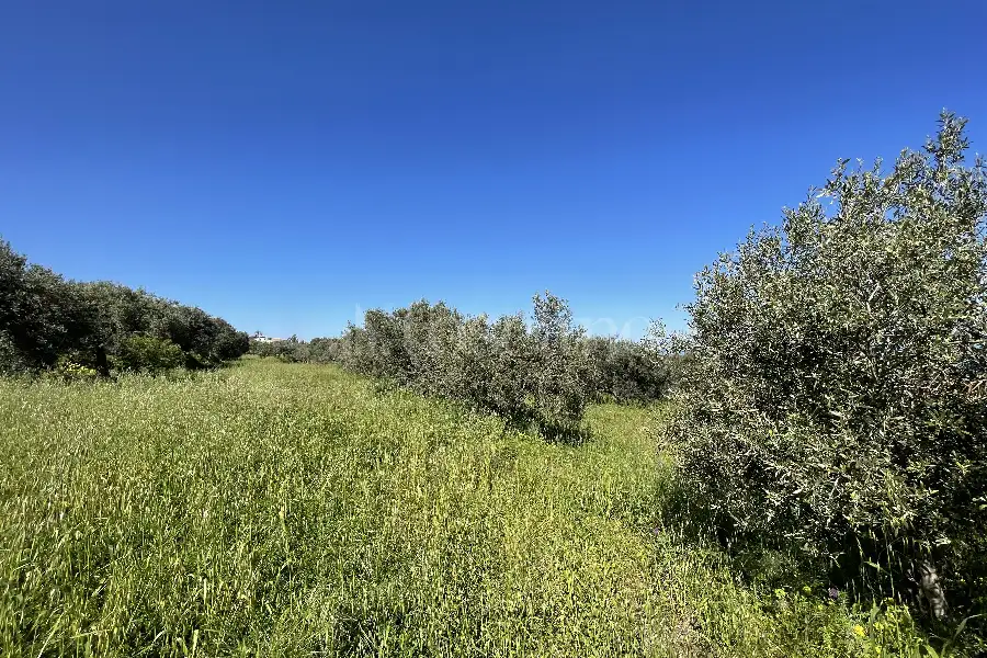 Rustico in vendita di 178 mq a €70.000 (rif. 14/2026)