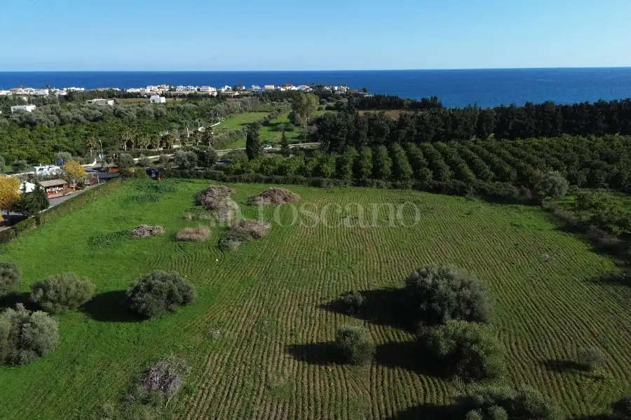 Edificabile Residenziali in vendita di 25.000 mq a €335.000 (rif. 137/2025)