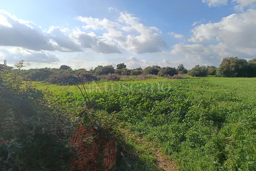 Edificabile Residenziali in vendita di 25.000 mq a €335.000 (rif. 137/2025)